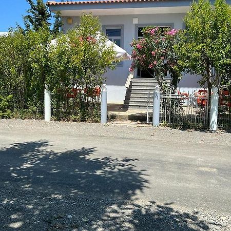 Guest House Andersoni Dhoma Plazhi Andersoni Shen Ded Gjoni Exteriér fotografie